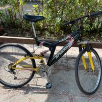 Bicicletta usata