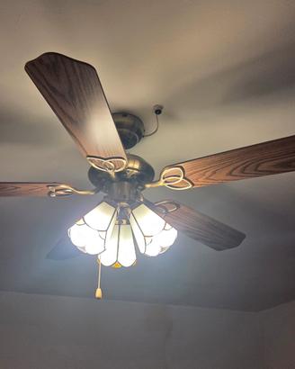 ventilatore con lampade