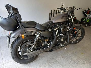 HARLEY DAVINSON 883 IRON