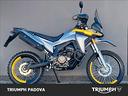 voge-rally-300-gy-2024