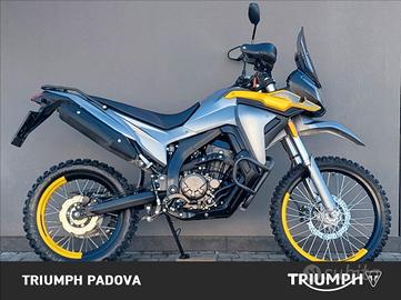 Voge Rally 300 GY - 2024