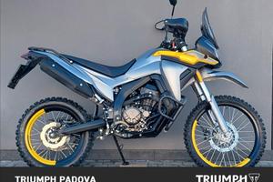 Voge Rally 300 GY - 2024