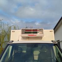 iveco daily transcar cella isotermica freddo frigo