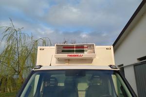 iveco daily transcar cella isotermica freddo frigo