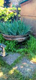 vasi ciotole grandi giardino 