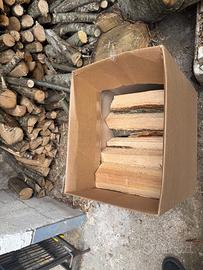 Box di legna da ardere 20kg