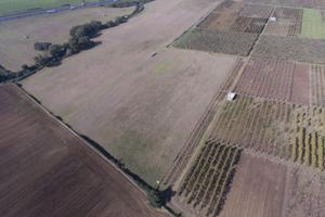 Affitarsi terreno agricolo - castel d'ario (mn)