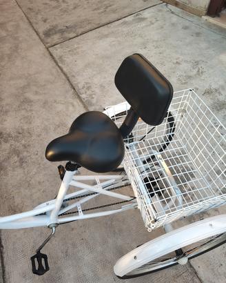 bici 3 Ruote 