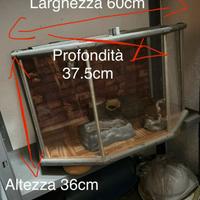 Teca per rettili serpenti/geko