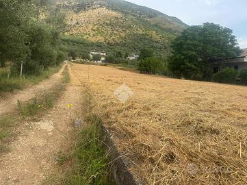 TER. AGRICOLO A VENAFRO