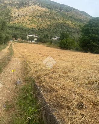 TER. AGRICOLO A VENAFRO