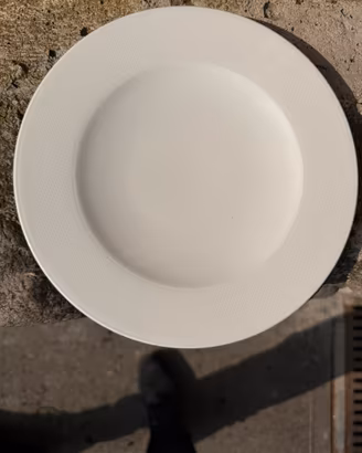 Piatti da ristorazione