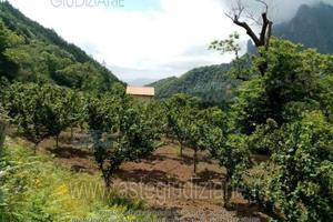 Terreno Agricolo Giffoni Valle Piana [A4333105]