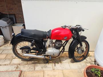 MV AUGUSTA 125 TR