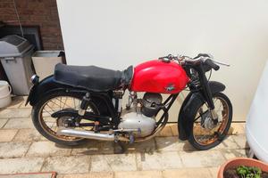 MV AUGUSTA 125 TR