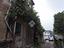 Immagine 13