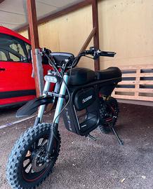 Bicicletta elettrica