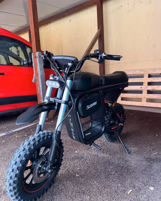 Bicicletta elettrica