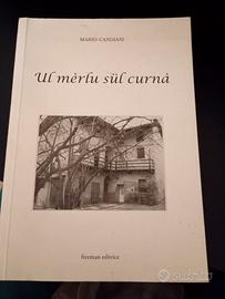 Ul merlu sul curna'