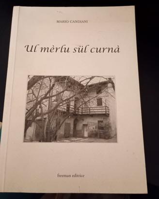 Ul merlu sul curna'