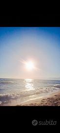 Settembre 5 posti mare a 300m
