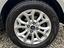 Immagine 19