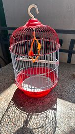 gabbia uccelli