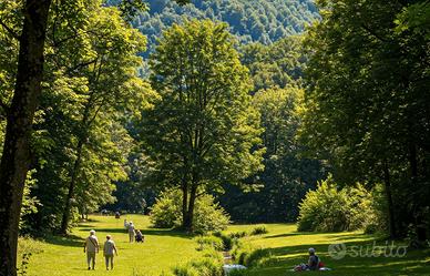 Estate in sila - montagna calabria