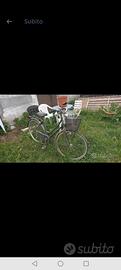 bicicletta da donna 