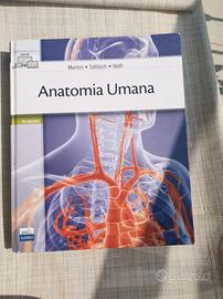 anatomia umana