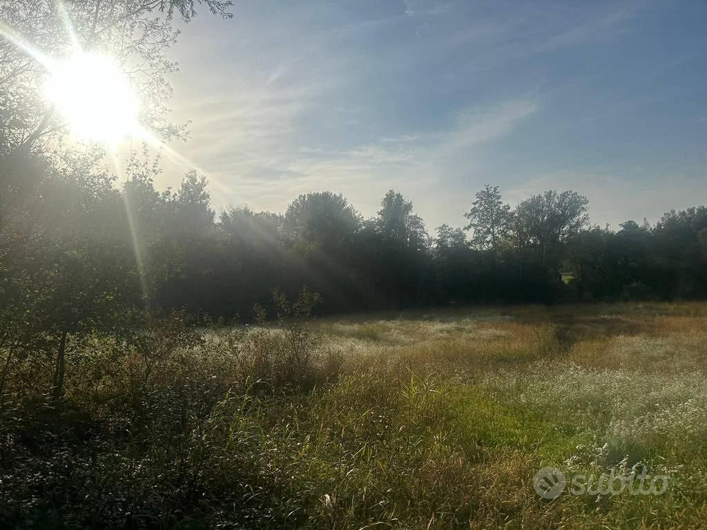 Terreno di 6555 m² a Nibionno - Vista 4