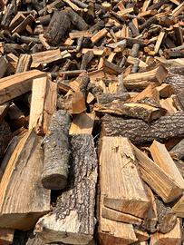 Legna secca di bosco