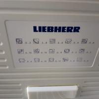 CONGELATORE  LIEBHERR 