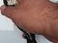 Immagine 3