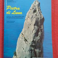 " Pietra di luna" M. Oviglia 