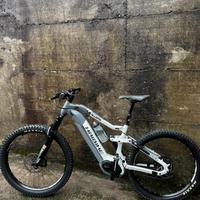 Haibike emtb