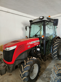 Massey Ferguson 3650 frutteto