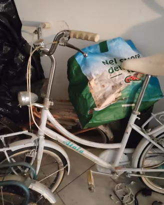 bici  pieghevole 