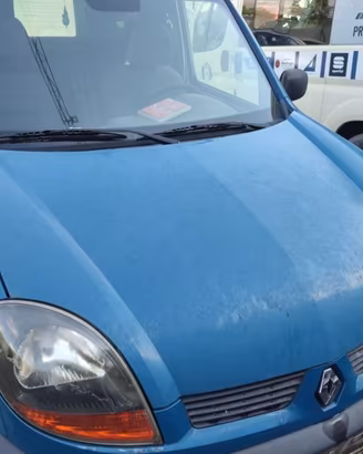 Cofano RENAULT KANGOO del 2003