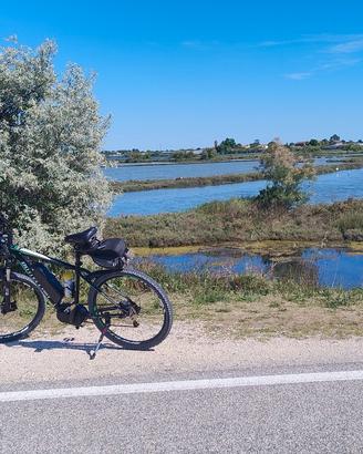 Mtb Bottecchia  elettrica 27,5 taglia L
