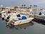 Immagine 6