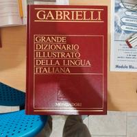 Grande dizionario illustrato della lingua italiana