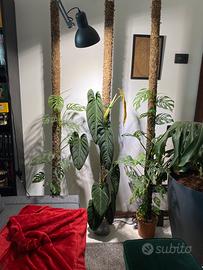 Pali in sfagno artigianali, rete metallica