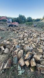 Legna da ardare di quercia