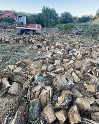 Legna da ardare di quercia