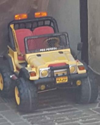 Jeep Gaucho 