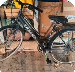 bicicletta da donna. 