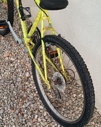 Mountain bike 