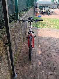 mountain bike rockrider