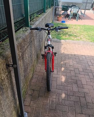 mountain bike rockrider